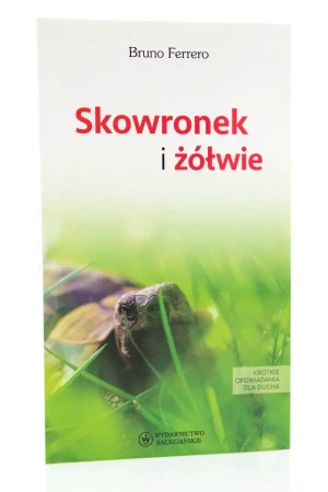 Skowronek i żółwie. Krótkie opowiadania dla ducha - Bruno Ferrero - książka