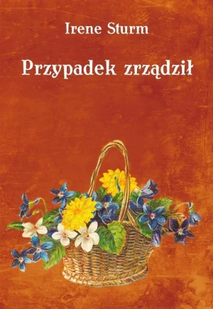 Przypadek zrządził - Irene Sturm - książka