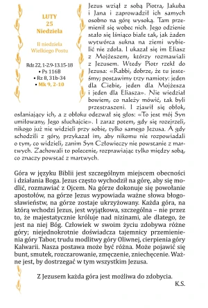 Żyć Ewangelią. Codzienna Ewangelia z rozważaniami - Misjonarze Krwi Chrystusa - książka