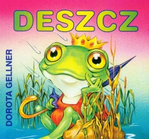 Deszcz - Hanna Ożogowska - książka