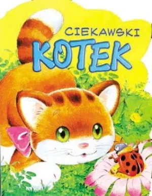Ciekawski Kotek - Urszula Kozłowska, Monika Stolarczyk - książka