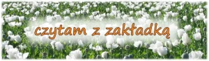 Gdy wszyscy byli obecni - Chwalibóg Tadeusz - książka
