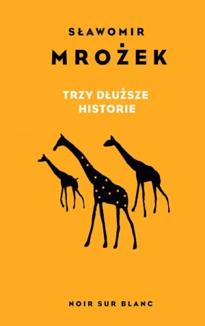 Trzy dłuższe historie - Morożek Sławomir - książka