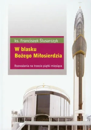 W blasku Bożego Miłosierdzia - Ślusarczyk Franciszek - książka