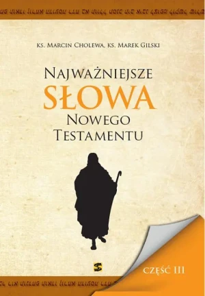 Najważniejsze słowa Nowego Testamentu. Część 2 - ks. Marcin Cholewa - książka
