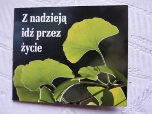Z nadzieją idź przez życie -  - książka