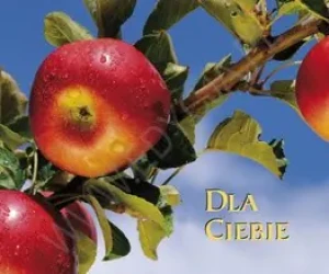 Słowa o miłości - dla Ciebie - Irene Nemirovski - książka