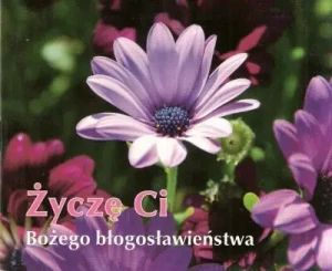 Życzę Ci Bożego błogosławieństwa -  - książka