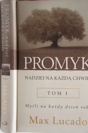 Promyk nadziei na każdą chwilę - Opracowanie zbiorowe - książka