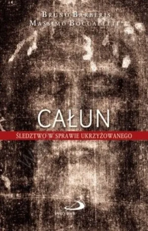 Całun. Śledztwo w sprawie ukrzyżowanego -  - książka
