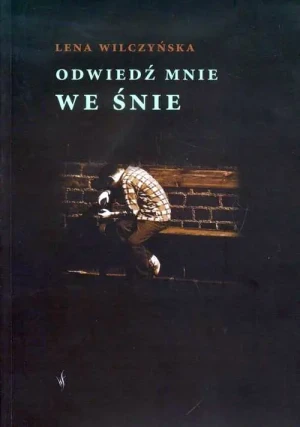 Odwiedź mnie we śnie - Wilczyńska Lena - książka