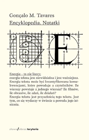Encyklopedia Notatki - Gonalo M. Tavares - książka
