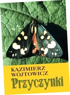 Przyczynki - Kazimierz Wójtowicz - książka