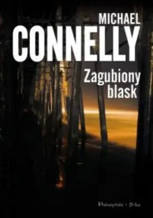 Zagubiony blask - Connelly Michael - książka