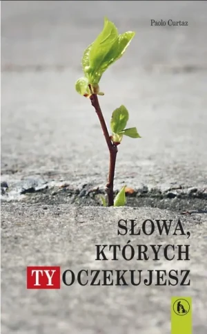 Słowa, których Ty oczekujesz - Paolo Curtaz - książka