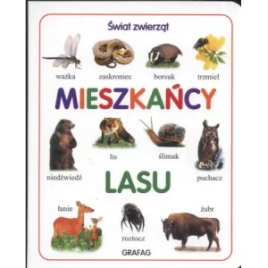 Świat zwierząt-mieszkańcy lasu ctw. - Praca zbiorowa - książka