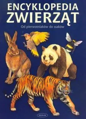 Encyklopedia zwierząt. Od pierwotniaków do ssaków - Marcon Elena, Mongini Manuel - książka