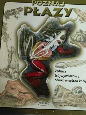 Poznaj płazy - Aimee Bakken - książka