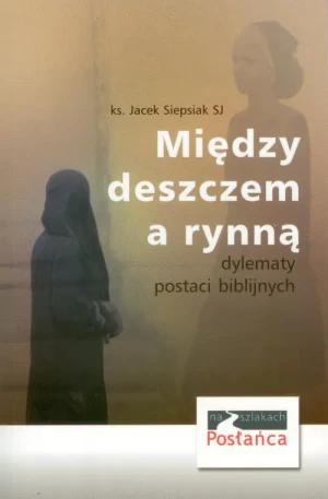 Między deszczem a rynną - Marek Krajewski - książka