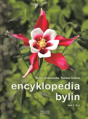 Encyklopedia bylin. Tom 1 - Tomasz Kubala - książka