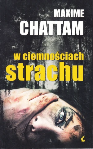 W ciemnościach strachu - Maxime Chattam - książka