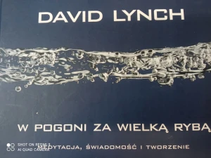 W pogoni za wielką rybą - Lynch David - książka
