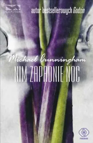 Nim zapadnie noc - Michael Cunningham - książka