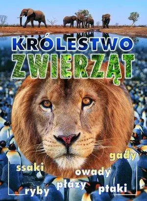 Królestwo zwierząt - opracowanie zbiorowe, praca zbiorowa - książka