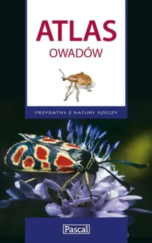 Atlas owadów - Przybyłowicz Łukasz - książka