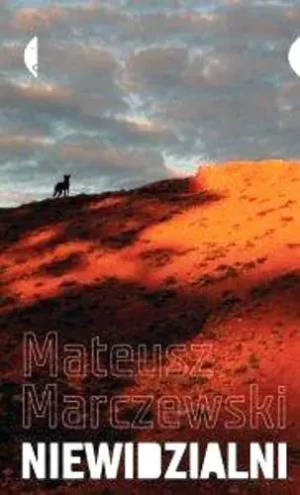 Niewidzialni - Marczewski Mateusz - książka