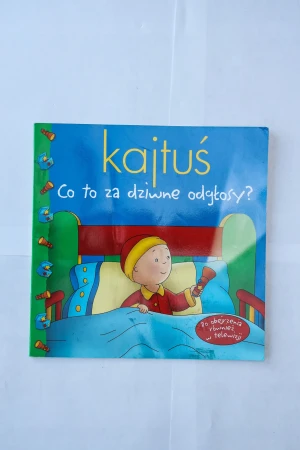Kajtuś Co za dziwne odgłosy - Marion Johnson - książka