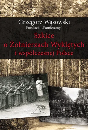 Szkice o Żołnierzach Wyklętych i współczesnej Polsce - Agnieszka Wileńska - książka