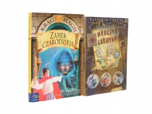 Mroczny labirynt - Petek Krzysztof - książka