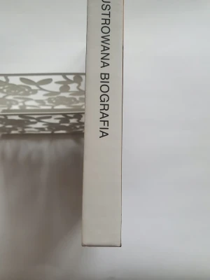 The Beatles Ilustrowana biografia  - Elżbieta Adamska - książka