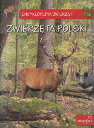 Encyklopedia Zwierząt Zwierzęta Polski - Zarych Elżbieta - książka