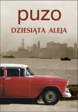 Dziesiąta aleja - Puzo Mario - książka
