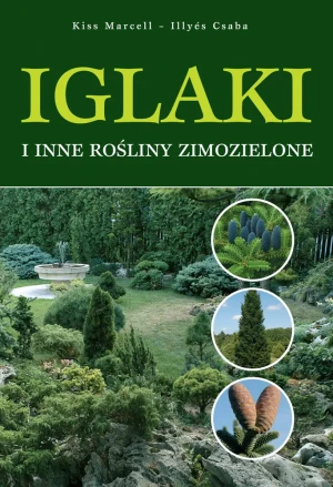 Iglaki. Najpopularniejsze gatunki w Polsce - Marcell Kiss, Csaba Illyes - książka