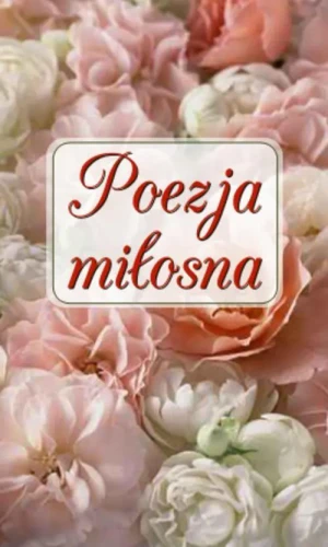 Poezja miłosna - Asnyk, Gałczyński, Pawlikowska-Jasnorzewska i inni - książka