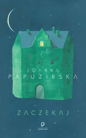 Zaczekaj - Joanna Papuzińska - książka