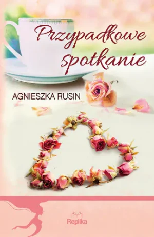 Przypadkowe spotkanie - Agnieszka Rusin - książka