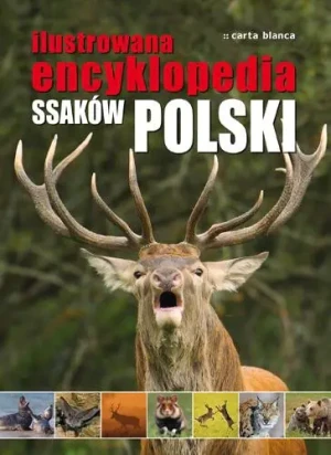 Ilustrowana encyklopedia ssaków Polski - Praca Zbiorowa - książka