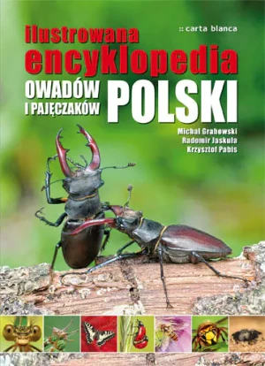 Ilustrowana encyklopedia owadów i pajęczaków - Krzysztof Pabis - książka