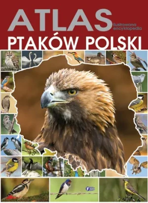 Atlas ptaków Polski TW - Opracowanie Zbiorowe - książka
