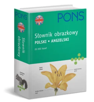 Słownik obrazkowy angielski - Pons - książka