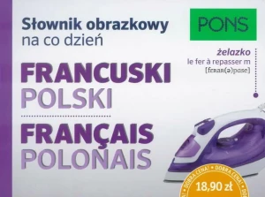 Słownik obrazkowy na co dzień. Francuski-polski - praca zbiorowa - książka