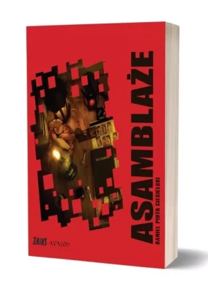 Asamblaże - Piotr Ciesielski - książka