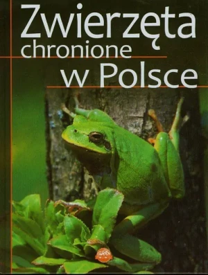Zwierzęta chronione w Polsce - Sylwia Weber - książka