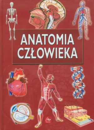 Anatomia człowieka - praca zbiorowa - książka
