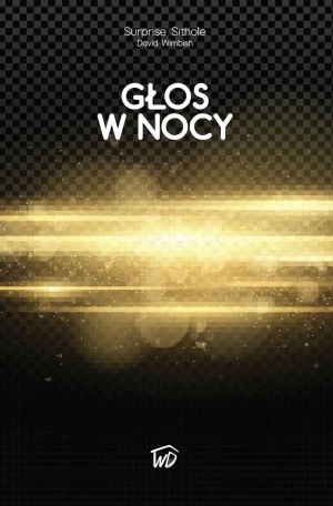 Głos w nocy - Surpise Sithole - książka