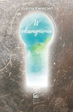W okamgnieniu - Joanna Kwiecień - książka